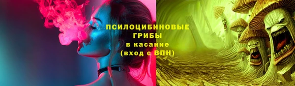 спайс Медвежьегорск