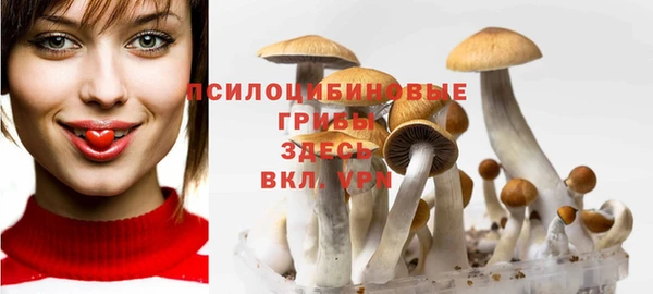 таблы Медногорск
