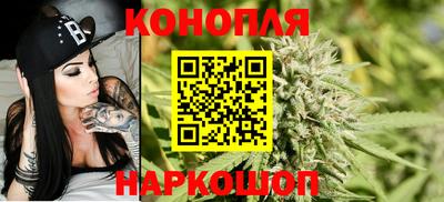 прущие крисы Славгород