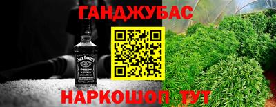 Альфа ПВП Сланцы