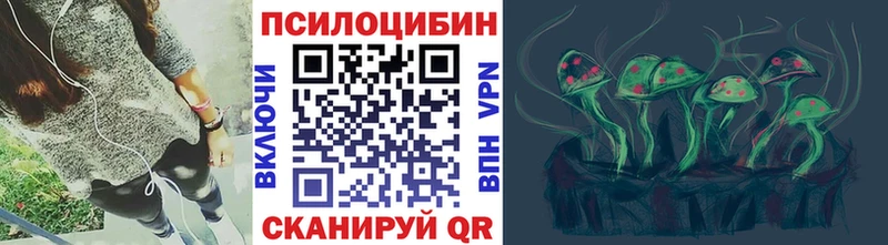 где найти наркотики  Мончегорск  Псилоцибиновые грибы мухоморы 