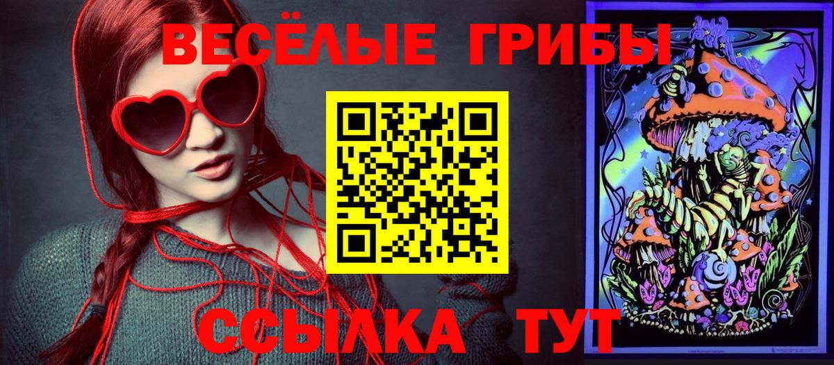 Мончегорск  Галлюциногенные грибы MAGIC MUSHROOMS  Вход с VPN 