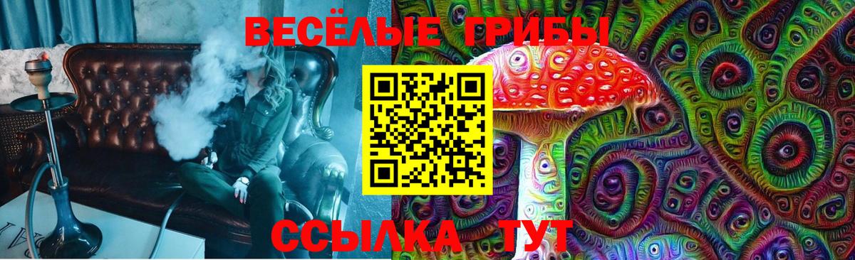 Псилоцибиновые грибы мицелий Мончегорск